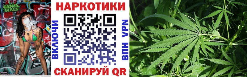 Где продают наркотики Сокол СК  Бошки Шишки  Меф мяу мяу  kraken зеркало  ГАШ 