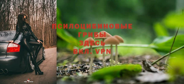 бошки Михайлов